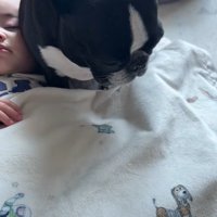 こんぶちゃんと赤ちゃん10