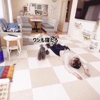 飼い主に近づいて行く黒い犬