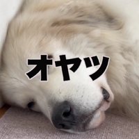 オヤツと言ってみると…