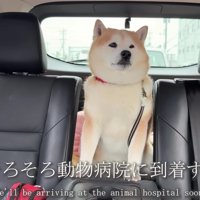 「嫌な予感がする…」