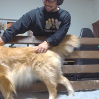 パパさんが見ている時はお利口さん♪