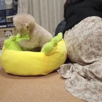 勢いよくパンチする三桜ちゃん