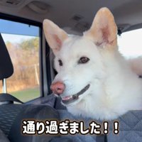 「よかった～！！」