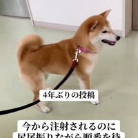 勘違いするみなみちゃん