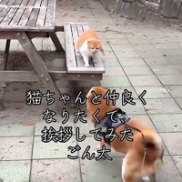 怒られちゃった！！