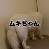 呼び続けても無視