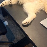 デスクの上を見てみたら…