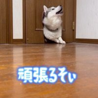 三度目の正直！！