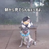 「また始まった…」