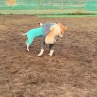 意外と気にしてない！！