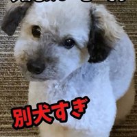 スヌーピーのような大地くん