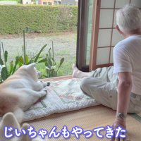 おじいちゃんがやってきた