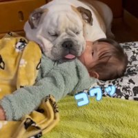 飼い主の言葉に頷く女の子