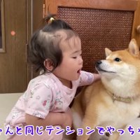 うにくんにも近寄って…