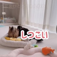 怒られちゃった！！