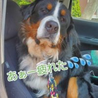 「あー疲れた」