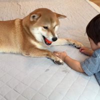 突然の攻防戦！？