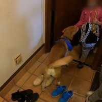 急に元気に！