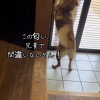 覚えていたごんちゃん