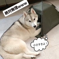 小さすぎた…