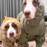 なんとか着用！！