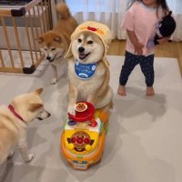 アンパンマンカーに乗るポポちゃん