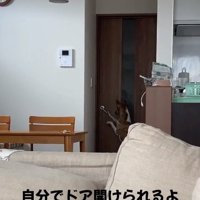 開き始めるドア