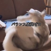 やっぱり落下！！