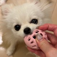 おもちゃ