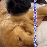 子供に寄り添う大型犬