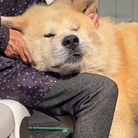 尊いワンシーンなのでした