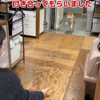 息抜きに付き合うことも