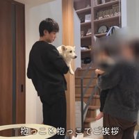 ノエルくんが先になでられた