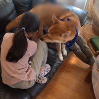 「ケンカはダメ！」