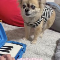 歌い上げました！