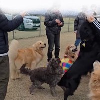 輪の外側に行ってしまったにこちゃん