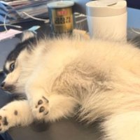 「なんか文句ある？」と言わんばかり！