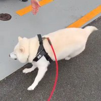 嬉しくて仕方ない♡
