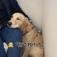 硬い腫瘍のようなものが