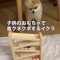 首もクネクネ