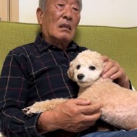 こちらを見る犬