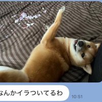 イタズラしたふうたくん