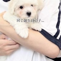 ご縁が舞い込みました