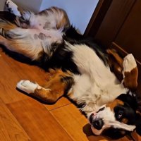 起きた都ちゃん