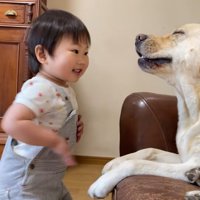 再びくしゃみを連発！