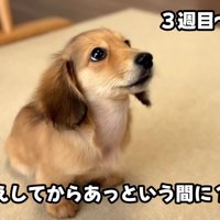 これからもすくすく育ってね