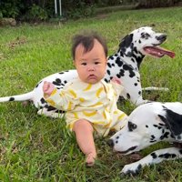 赤ちゃんと二匹の大型犬