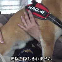 パパに抱きついてイヤイヤ