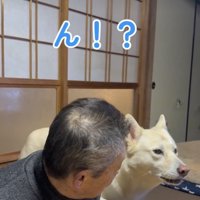 おじいちゃんが耳を傾けると…
