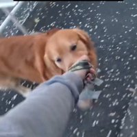 可愛くて憎めません♡